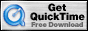 Download here QuickTime 5.0!